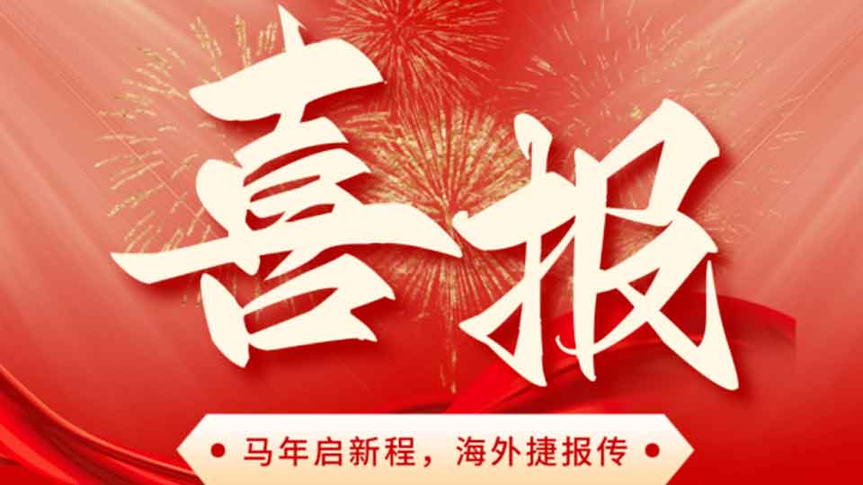 马年开门红！大通龙源成功中标印尼 PLN 普拉萨岛电厂高压锅炉给水泵项目